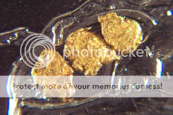 SILVER GOLD PROSPECTOR COIN with 3 GOLD NUGGETS   bullion  