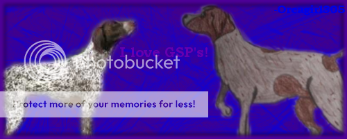 GSPsig.png