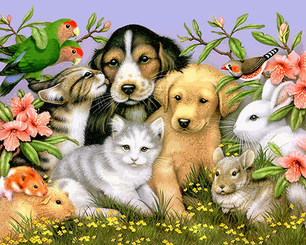 Animals.gif